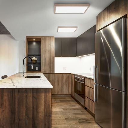 Brilagi - LED vannas istabas griestu gaismeklis FRAME LED/50W/230V 60x60 cm IP44 bēšs