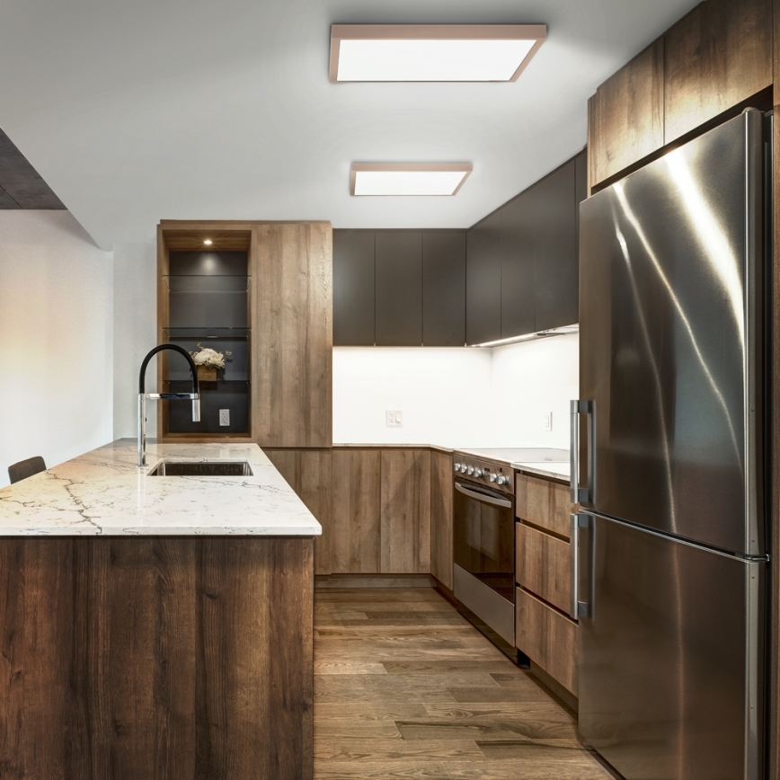 Brilagi - LED vannas istabas griestu gaismeklis FRAME LED/50W/230V 60x60 cm IP44 bēšs