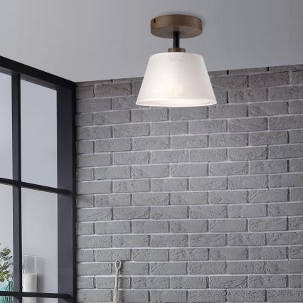 Brilagi - LED  Virsapmetuma lustra ANTHONY 1xE14/60W/230V ozols riekstkoks/balta