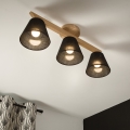 Brilagi - LED  Virsapmetuma lustra ANTHONY 3xE14/40W/230V ozols/melna