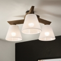 Brilagi - LED  Virsapmetuma lustra ANTHONY 3xE14/40W/230V ozols riekstkoks/balta