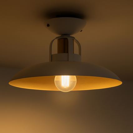 Brilagi - LED Virsapmetuma lustra FLAMENGO 1xE27/60W/230V balta