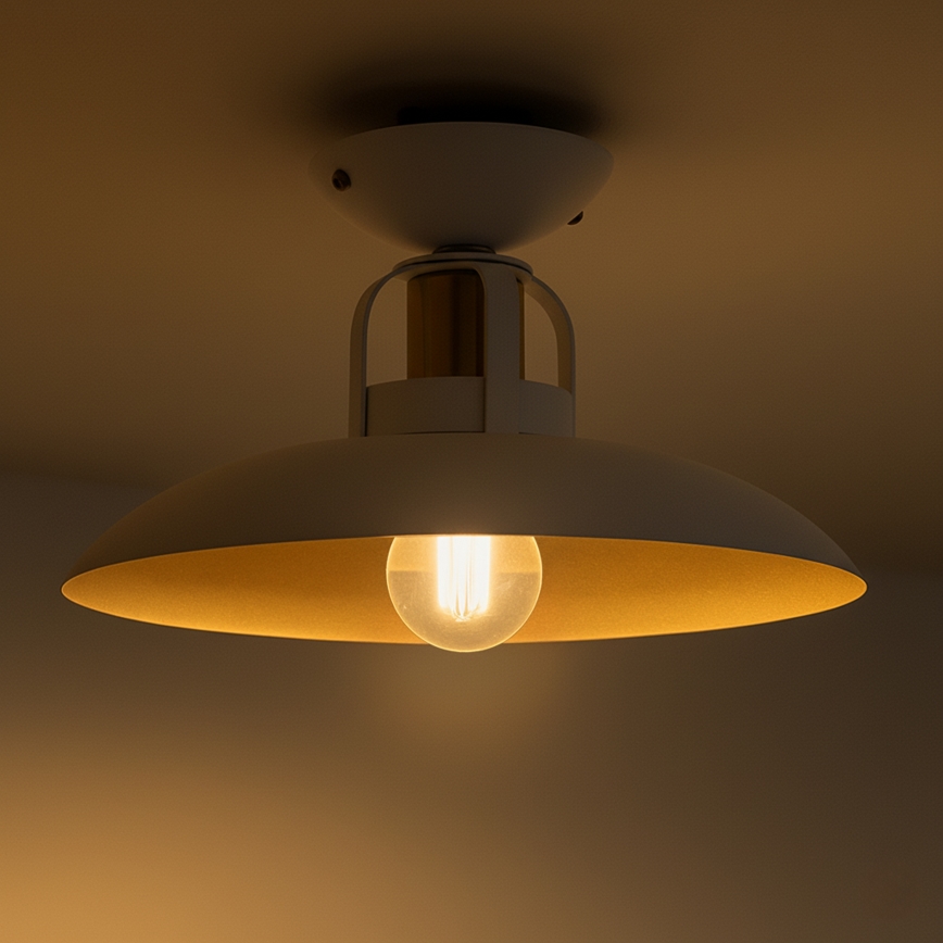 Brilagi - LED Virsapmetuma lustra FLAMENGO 1xE27/60W/230V balta