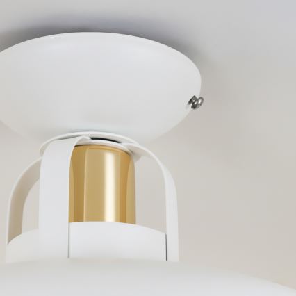 Brilagi - LED Virsapmetuma lustra FLAMENGO 1xE27/60W/230V balta