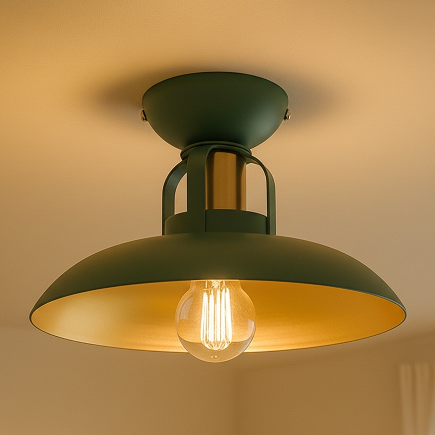 Brilagi - LED Virsapmetuma lustra FLAMENGO 1xE27/60W/230V zaļa