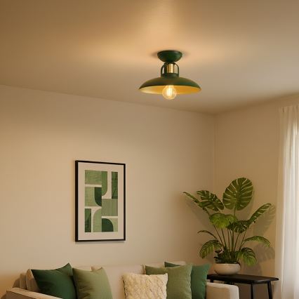 Brilagi - LED Virsapmetuma lustra FLAMENGO 1xE27/60W/230V zaļa