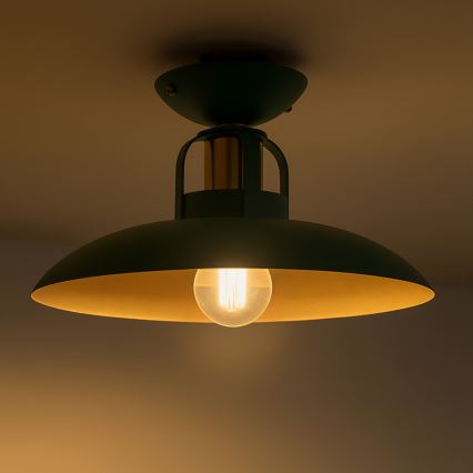 Brilagi - LED Virsapmetuma lustra FLAMENGO 1xE27/60W/230V zaļa