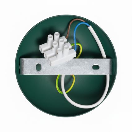 Brilagi - LED Virsapmetuma lustra FLAMENGO 1xE27/60W/230V zaļa