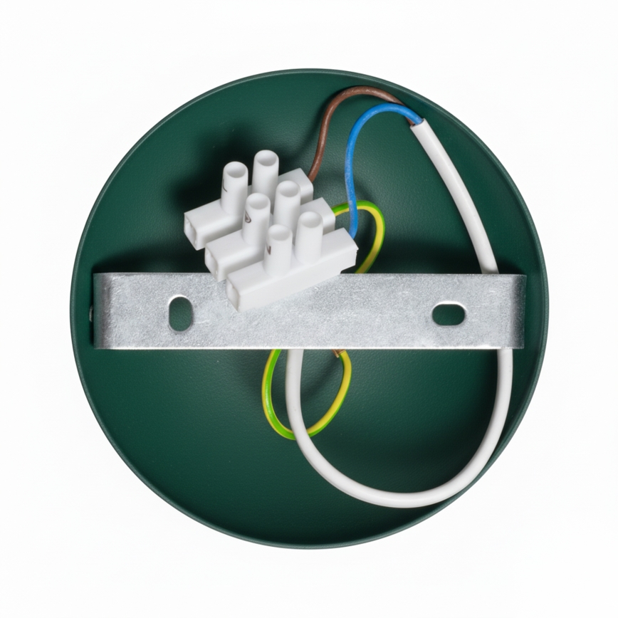 Brilagi - LED Virsapmetuma lustra FLAMENGO 1xE27/60W/230V zaļa