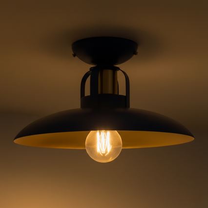 Brilagi - LED Virsapmetuma lustra FLAMENGO 1xE27/60W/230V zila