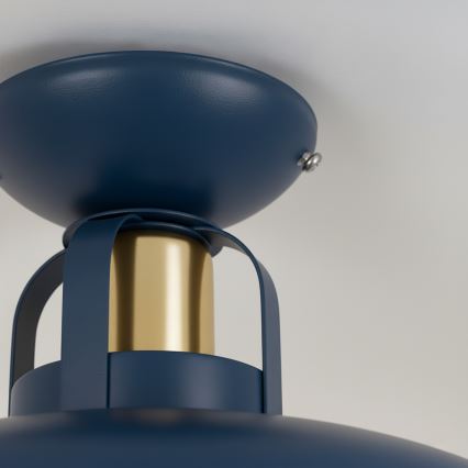 Brilagi - LED Virsapmetuma lustra FLAMENGO 1xE27/60W/230V zila