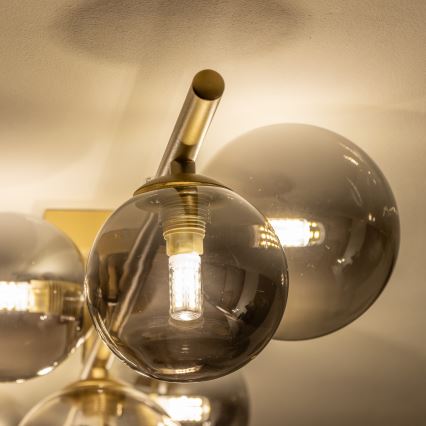 Brilagi - LED Virsapmetuma lustra MILLA 7xG9/3W/230V zelta/dūmakains