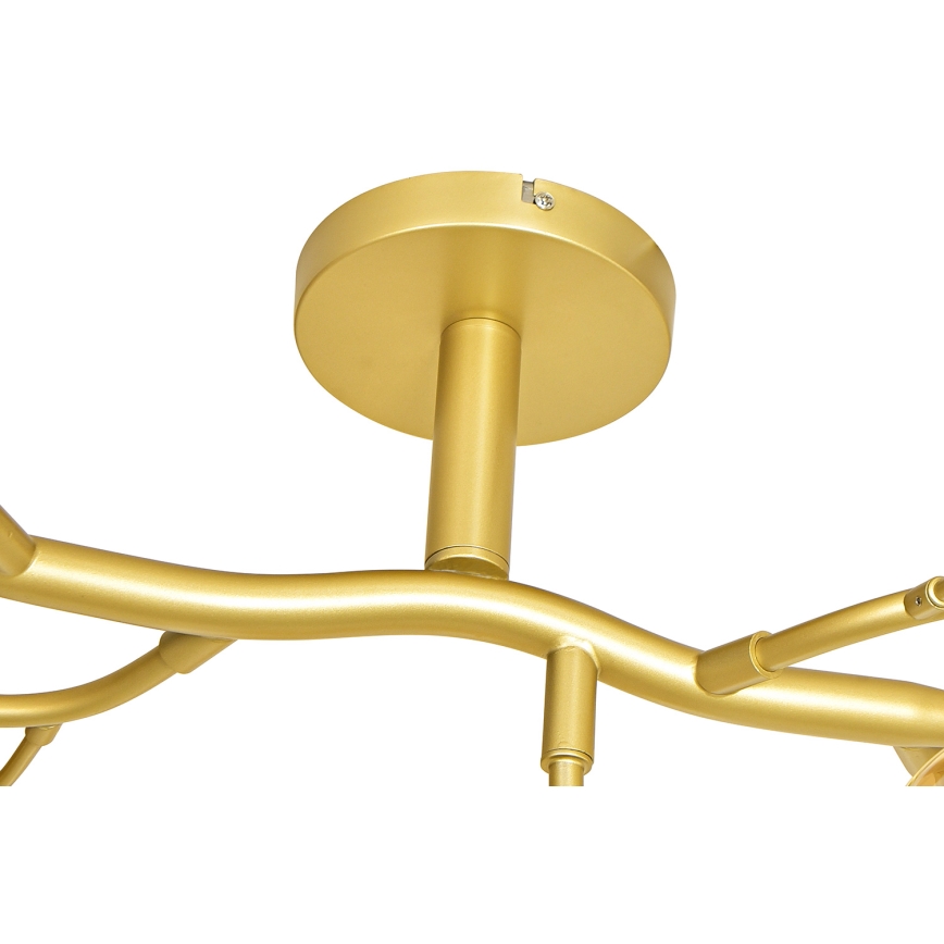 Brilagi - LED Virsapmetuma lustra MISTEL 15xG9/3W/230V zelta/balta