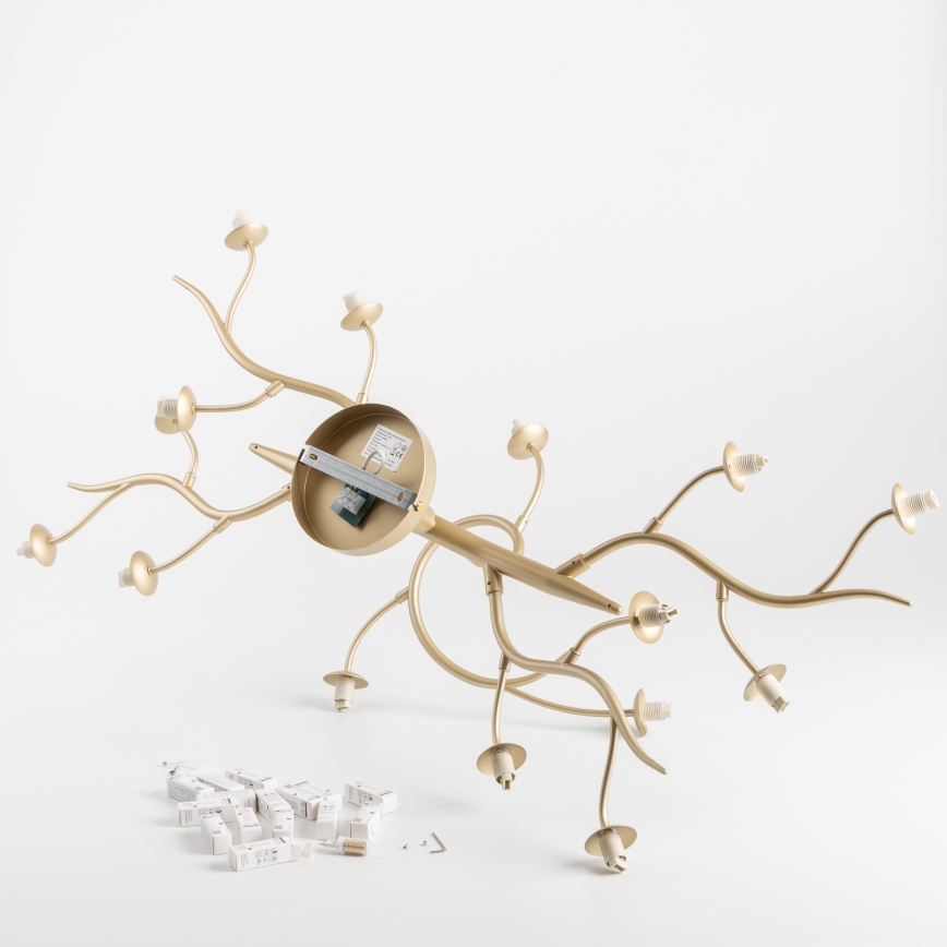 Brilagi - LED Virsapmetuma lustra MISTEL 15xG9/3W/230V zelta/balta