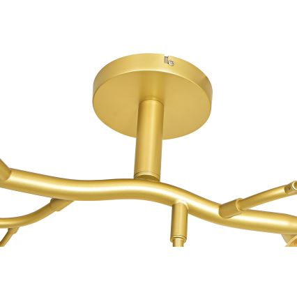 Brilagi - LED Virsapmetuma lustra MISTEL 15xG9/3W/230V zelta