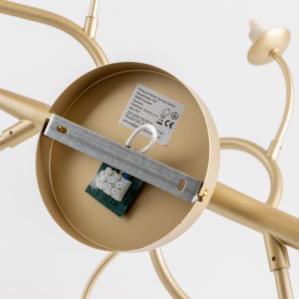 Brilagi - LED Virsapmetuma lustra MISTEL 15xG9/3W/230V zelta