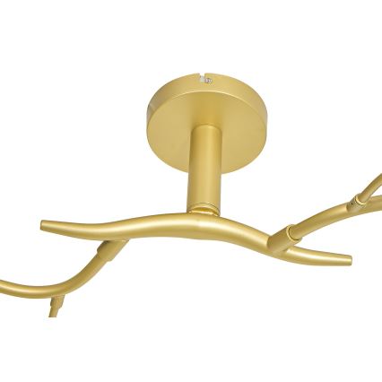 Brilagi - LED Virsapmetuma lustra MISTEL 6xG9/3W/230V zelta/balta