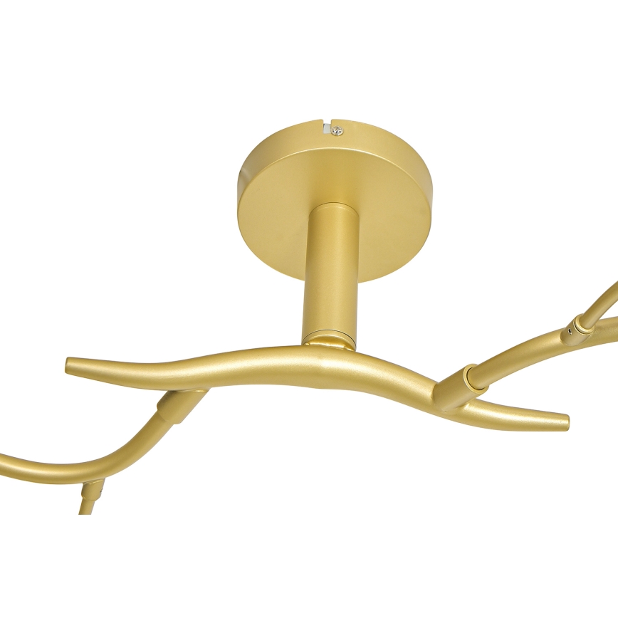 Brilagi - LED Virsapmetuma lustra MISTEL 6xG9/3W/230V zelta/balta
