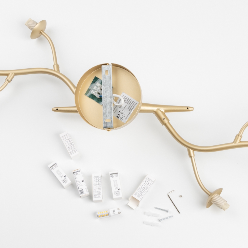 Brilagi - LED Virsapmetuma lustra MISTEL 6xG9/3W/230V zelta/balta