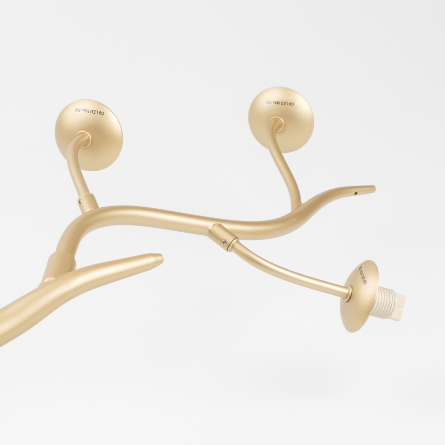 Brilagi - LED Virsapmetuma lustra MISTEL 6xG9/3W/230V zelta