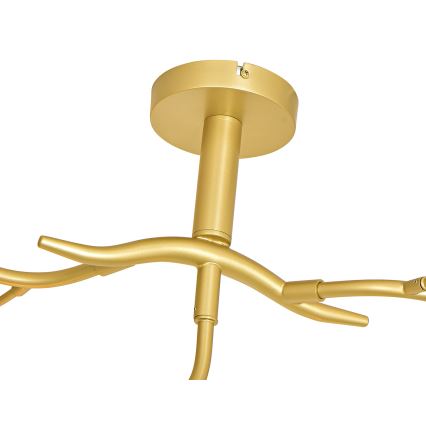 Brilagi - LED Virsapmetuma lustra MISTEL 9xG9/3W/230V zelta
