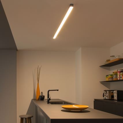 Brilagi - LED griestu virsmas gaismeklis FULLDAY LED/30/40/50W/230V 2700/4000/6000K 150 cm melns