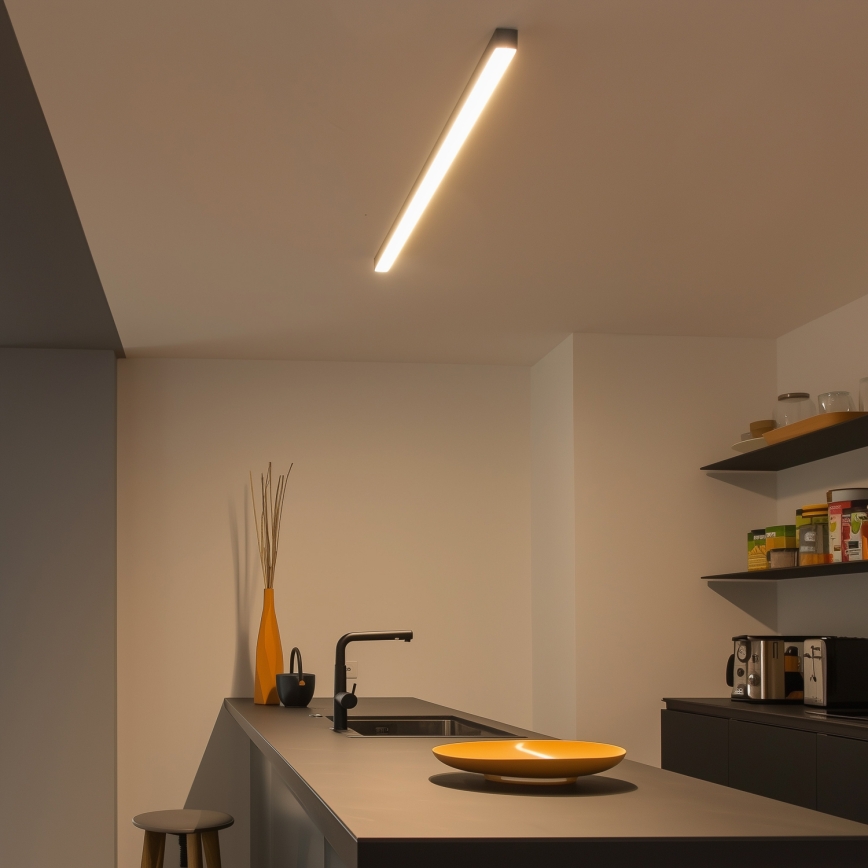 Brilagi - LED griestu virsmas gaismeklis FULLDAY LED/30/40/50W/230V 2700/4000/6000K 150 cm melns