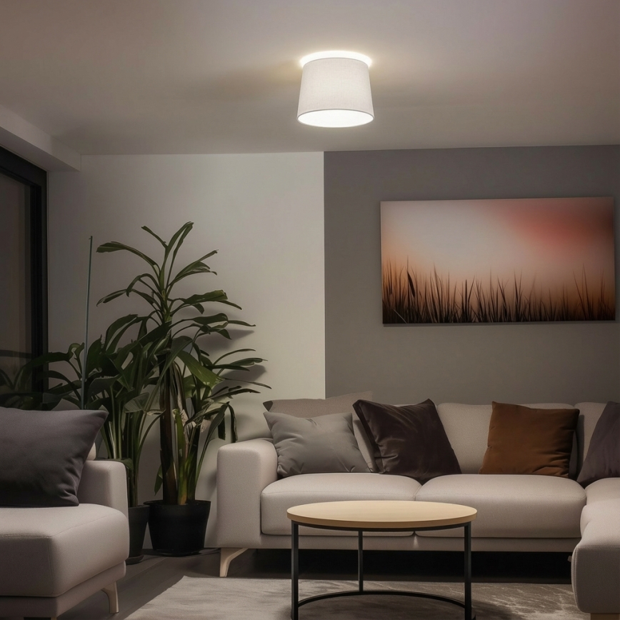 Brilagi - LED virsmas griestu lampa CERIA 1xE27/40W/230V diam. 30 cm balta