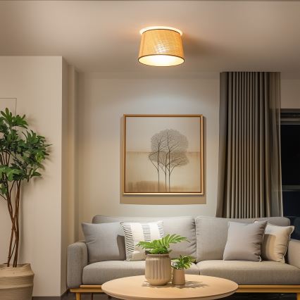 Brilagi - LED virsmas griestu lampa CERIA 1xE27/40W/230V Ø 35 cm bēzs