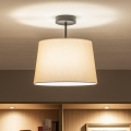 Brilagi - LED virsmas griestu lampa CERIA 1xE27/60W/230V Ø 30 cm melna/bēša
