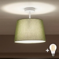 Brilagi - LED virsmas griestu lustrs CERIA 1xE27/60W/230V Ø 30 cm balts/zaļš