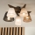 Brilagi - LED Virsmas lustra ANTHONY 5xE14/40W/230V ozola valrieksts