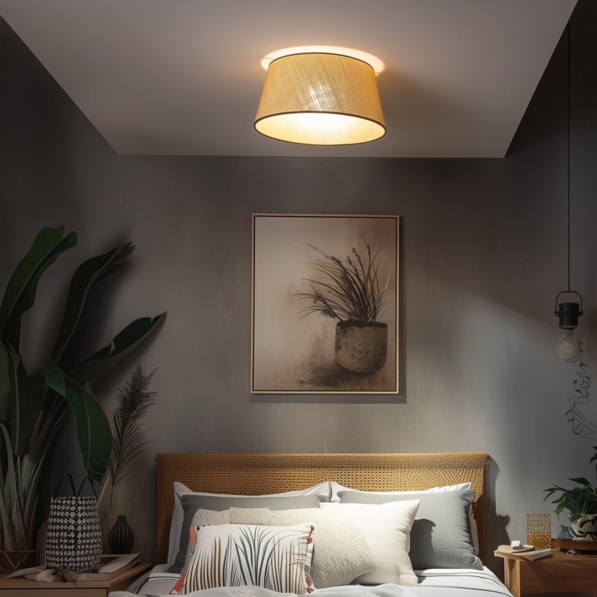 Brilagi - LED virsmas montāžas griestu lampa CERIA 1xE27/40W/230V Ø 50 cm bēša