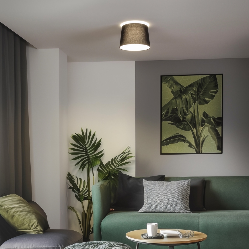 Brilagi - LED virsmas piestiprināma griestu lampa CERIA 1xE27/40W/230V Ø 30 cm melna