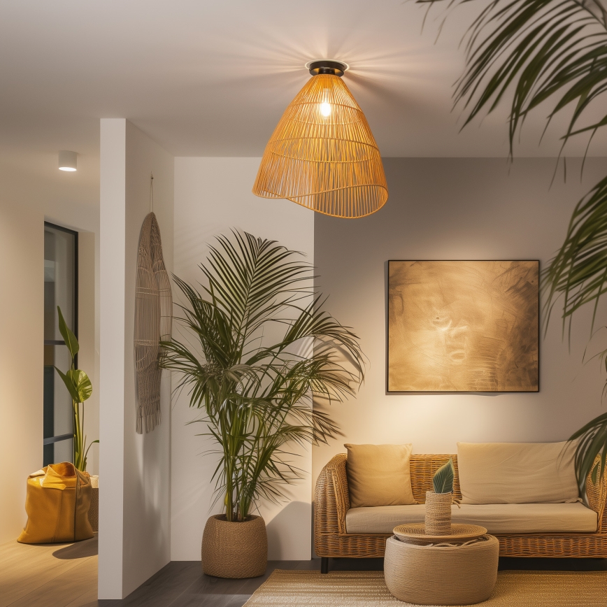 Brilagi - LED virsmas stiprināma griestu lampa CERIA BOHO 1xE27/40W/230V Ø 70 cm brūna