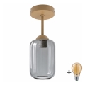BRILAGI - LED virsmontējamā griestu lampa RETRO GLASS 1xE27/60W/230V Ø 14 cm bēša/dūmakaina pelēka