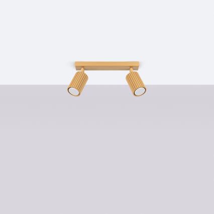 Brilagi - LED virziena gaismeklis CRESTO 2xGU10/10W/230V zelta