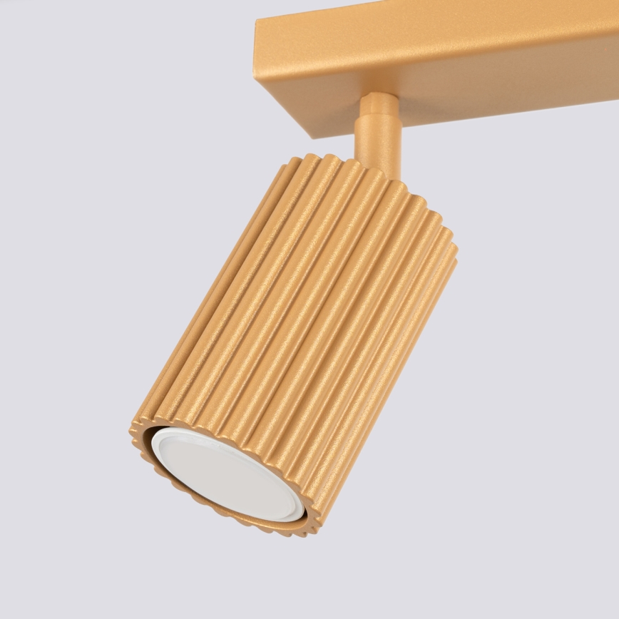 Brilagi - LED virziena gaismeklis CRESTO 2xGU10/10W/230V zelta