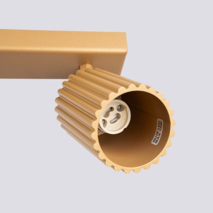 Brilagi - LED virziena gaismeklis CRESTO 2xGU10/10W/230V zelta