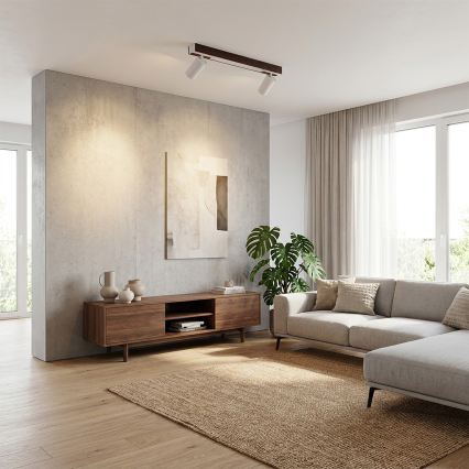 BRILAGI - LED virziena gaismeklis SELE 2xGU10/30W/230V + LED/15W balta/ozola dekors