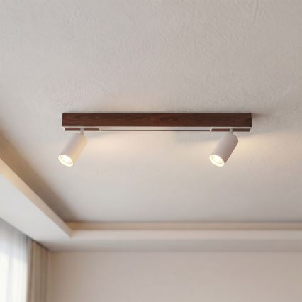 BRILAGI - LED virziena gaismeklis SELE 2xGU10/30W/230V + LED/15W balta/ozola dekors