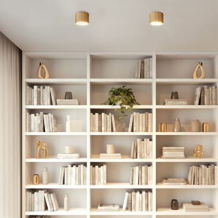 BRILAGI - LED Virziena gaismeklis STRIPY 1xGX53/15W/230V 60x82 mm zelta