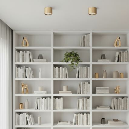 BRILAGI - LED Virziena gaismeklis STRIPY 1xGX53/15W/230V 60x82 mm zelta