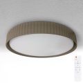 Brilagi - LUCIA LED griestu gaismeklis ar regulējamu spilgtumu LED/48W/230V 3000-6500K Ø41 cm taupe + tālvadība