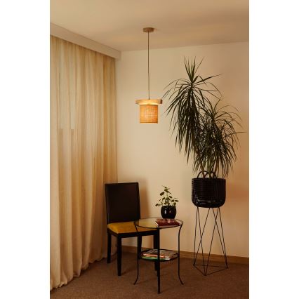 Brilagi - Lustra ar auklu FOREST 1xE27/15W/230V priede/brūna