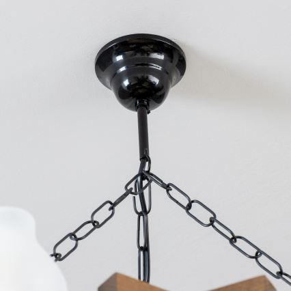 Brilagi - Lustra ar ķēdi QUEEN 6xE14/40W/230V dižskābardis/rieksts