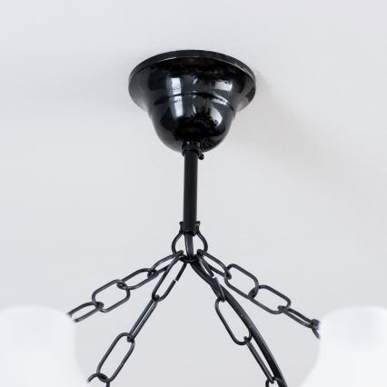 Brilagi - Lustra ar ķēdi QUEEN 8xE14/40W/230V dižskābardis/rieksts