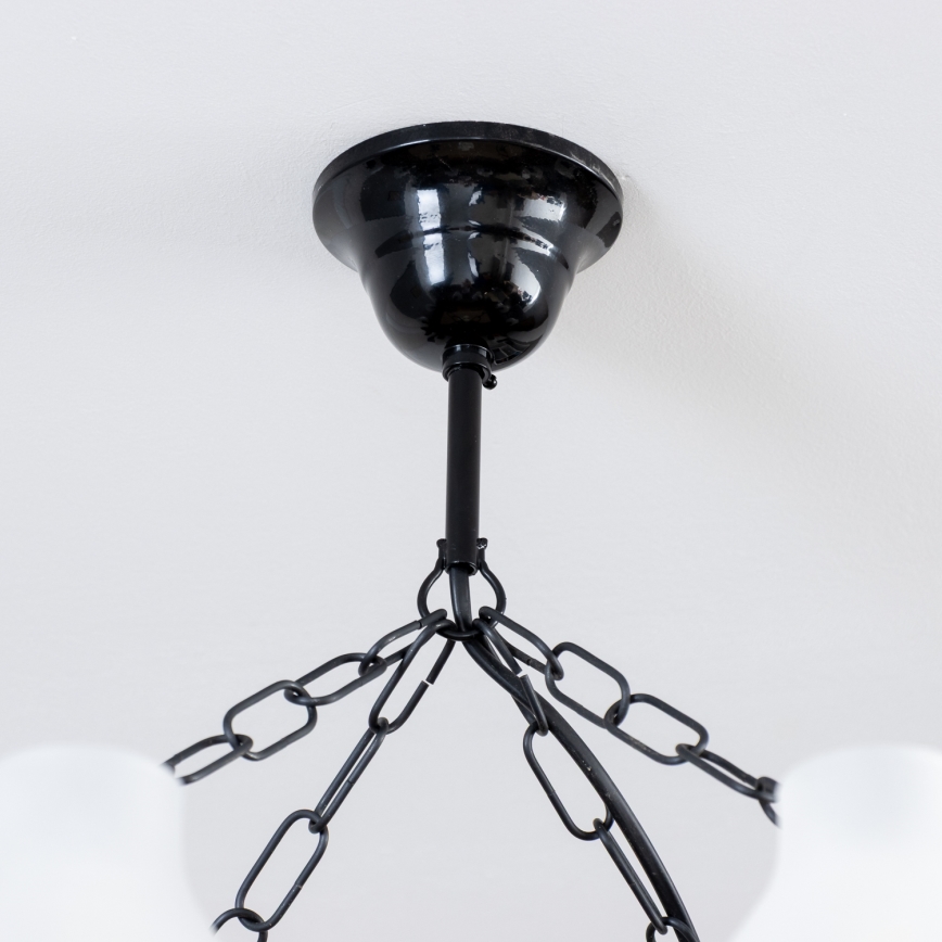 Brilagi - Lustra ar ķēdi QUEEN 8xE14/40W/230V dižskābardis/rieksts