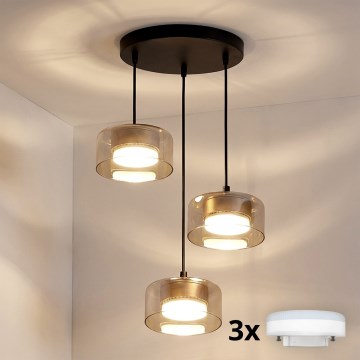 Brilagi - lustra uz kabeļa AURA LUX 3xGX53/30W/230V melna/zelta