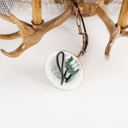 Brilagi - Lustra uz ķēdes DEER 6xE14/10W/230V diametrs 102 cm ragu motīvs